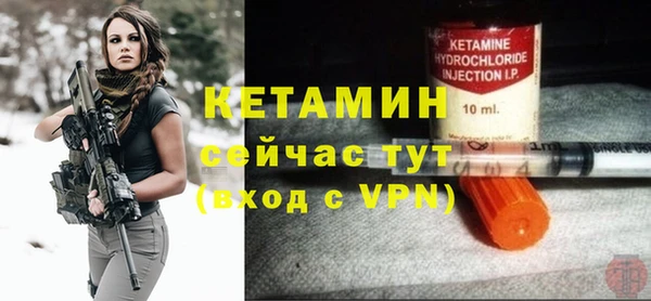 мет Алексин