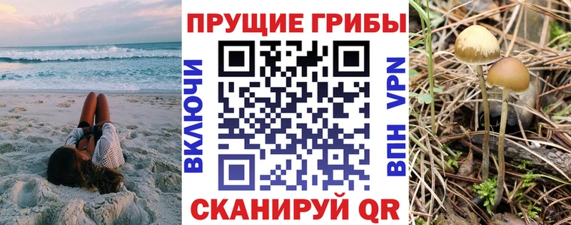 Псилоцибиновые грибы мицелий  Темников 